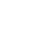 Desert Willow