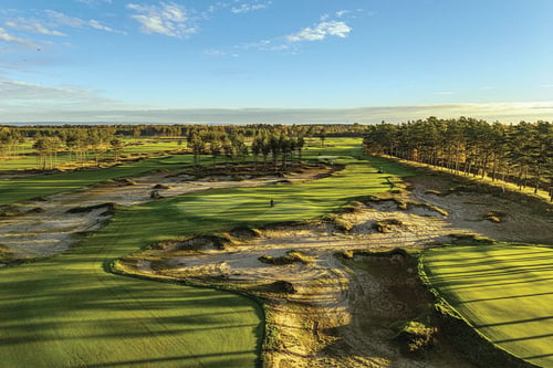 Golfinc picture