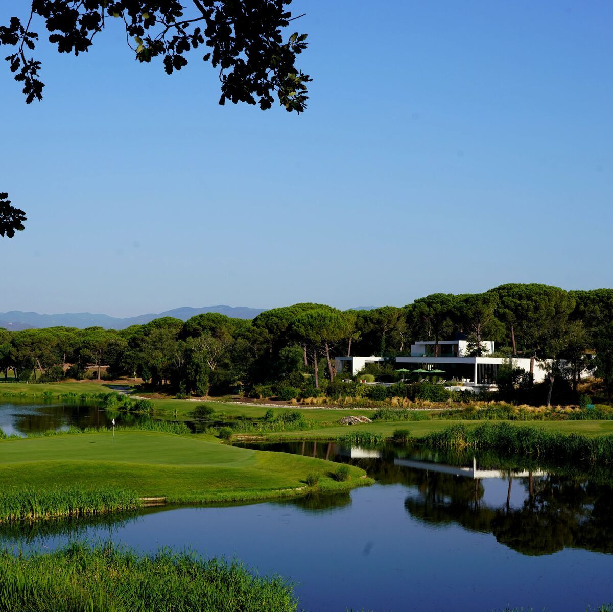 camiral-stadium-course-9 - Demand Gen 1200x1200