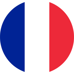 france flag circle