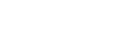 logo palmares branco